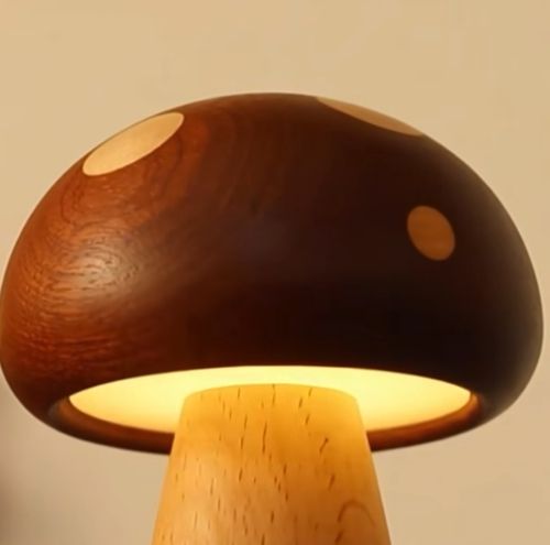 Time to decor the desk. USB Charging LED Table Lamp Northern Europe Touch Control Dimming Brightness for Desk Bedside Decorative Use