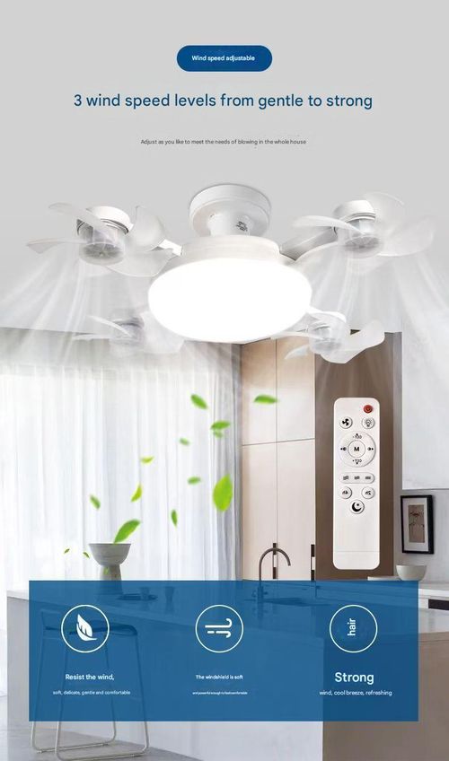 LED ceiling fan light simple smart fan light bedroom silent remote control ceiling fan light eye protection energy saving suitable for modern design bedroom kitchen living room