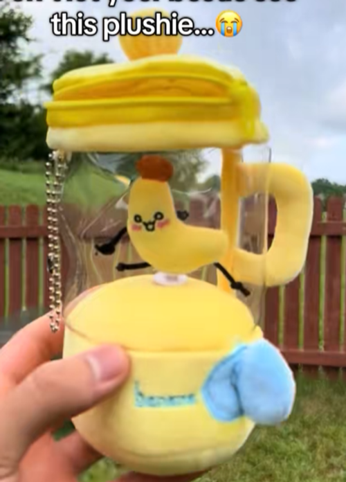 If you need a silly gift for your bestie this banana plushie blender is perfect for you!