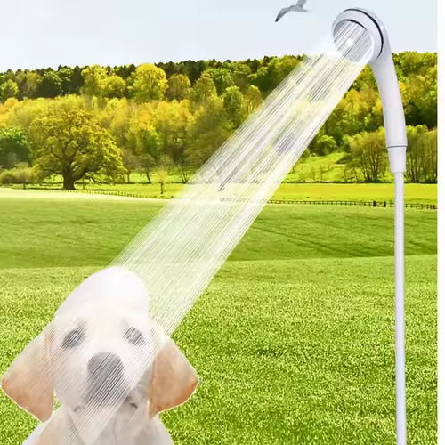 Portable electric shower