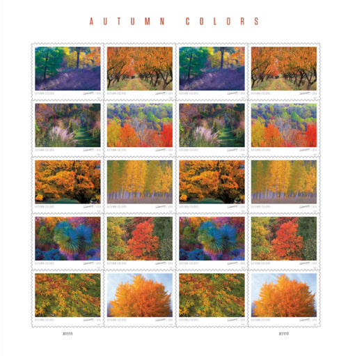 2024 Autumn Colors Stamps Forever First Class Postage Stamps