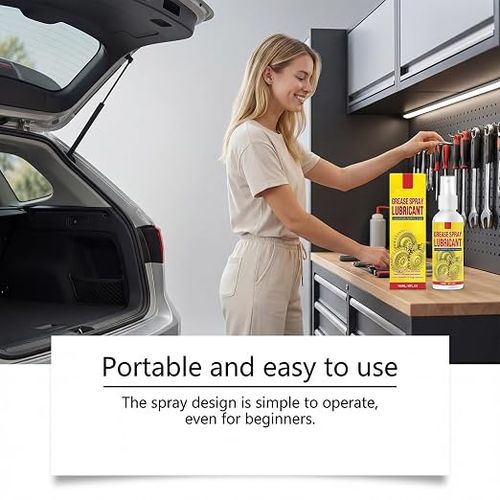 Anti-rust lubricating spray and rust remover