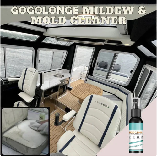 Buy One Get One Free - Mold Cleaner