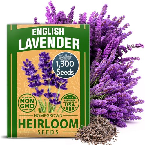 High Germination Rate Flower Seed Assortment, Hollyhock, Cosmos & Lavender Bulk Seeds for Outdoor Garden Planting