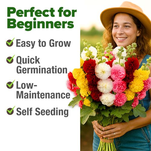 High Germination Rate Flower Seed Assortment, Hollyhock, Cosmos & Lavender Bulk Seeds for Outdoor Garden Planting