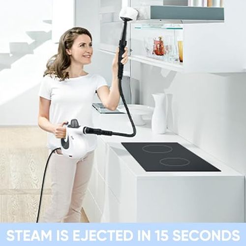 Handheld Steam Cleaner