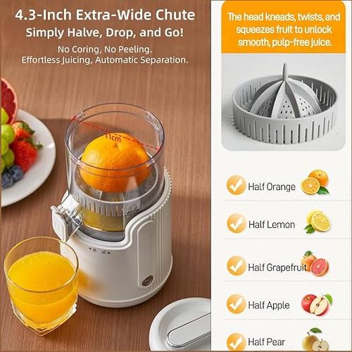 Wireless Cold Press Juicer