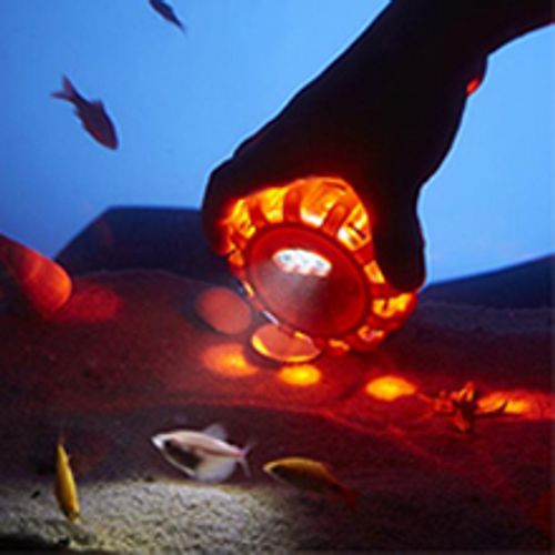 LED road warning light