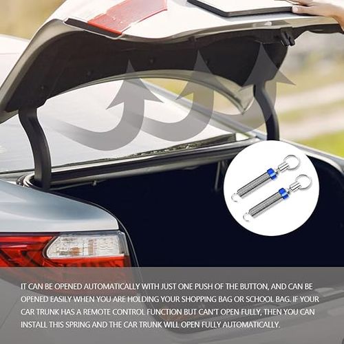 Trunk spring lift device