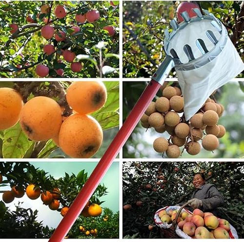 Fruit Picker Head Basket (Free Sickle and Hook)