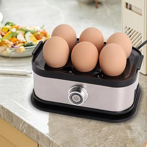 Stainless steel egg boiler