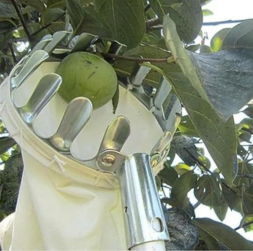 Fruit Picker Head Basket (Free Sickle and Hook)