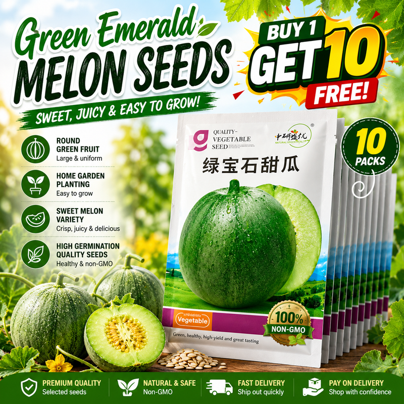 🌱 Buy 1 Get 10 | Green Gem Sweet Melon Seeds 50 Seeds per Pack for Home Garden and Farm Planting | COD Free Shipping