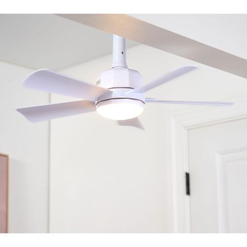 Cascade Pro 2-in-1 Socket 19'' Ceiling Fan & LED Light
