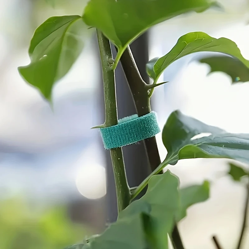 Plant Ties