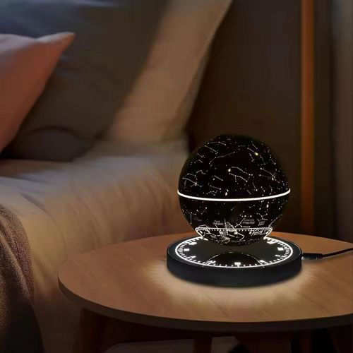 Globe Lamp