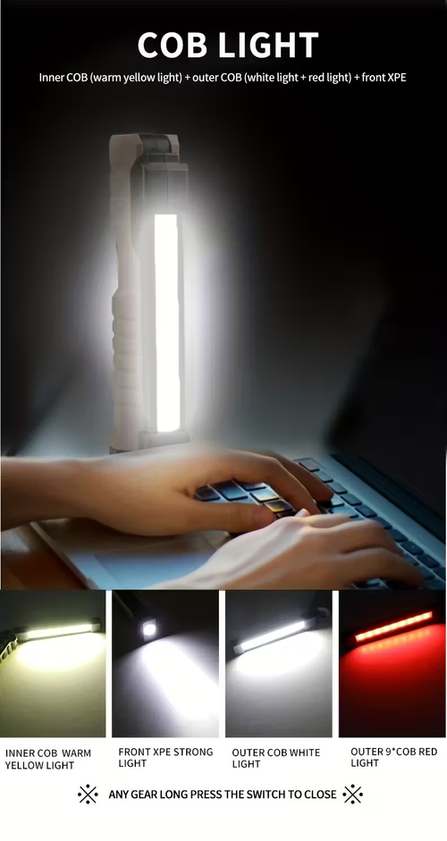 Portable LED Floodlight
