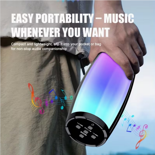 Portable Wireless Speaker