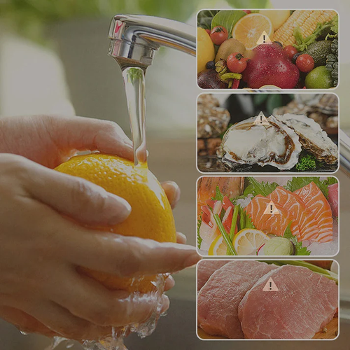 Vegetable Washer
