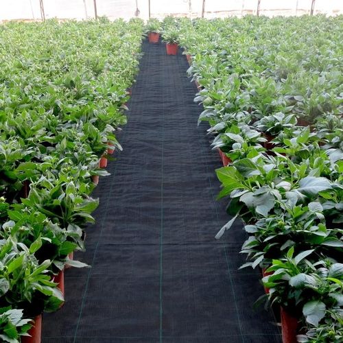 Woven Weed Barrier
