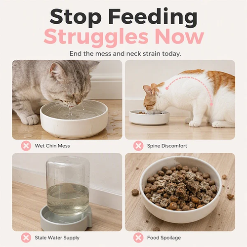 Pet Bowl