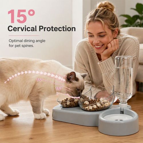 Pet Bowl