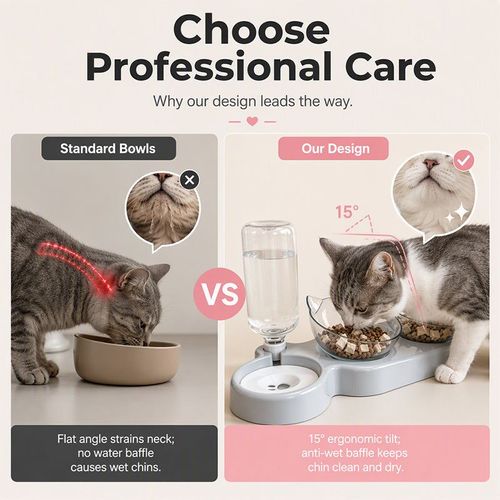 Pet Bowl