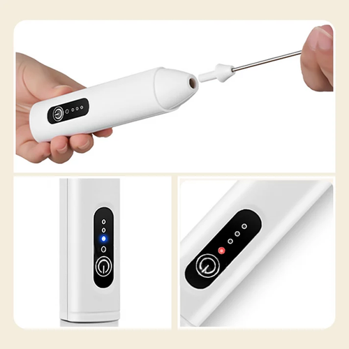 Electric Milk Frother