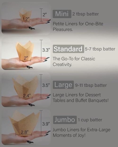 Muffin Liners