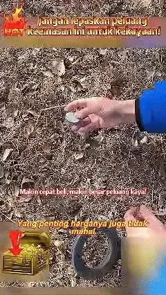 🔥 2025 Novo Detector de Metais Portátil – Alta sensibilidade, design dobrável, perfeito para aventuras ao ar livre! 🔍⚒️