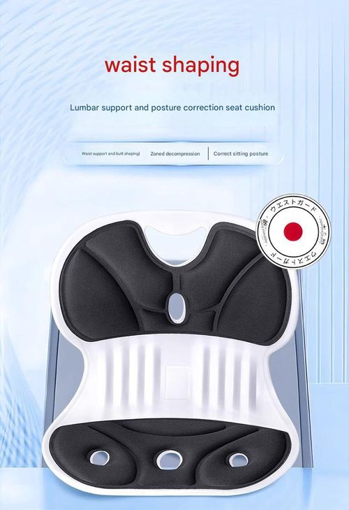 BKT Lumbar Support Seat Cushions Oversized Edition Ergonomic Office Chair for Students Office Workers Nursing Mothers Long Sitting Outdoor Fishing Floor Chair (L-Black)