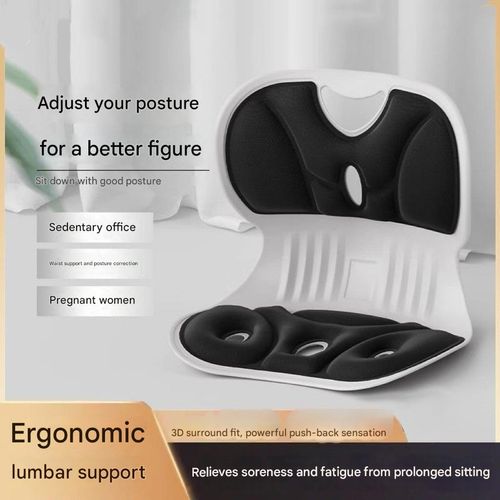 BKT Lumbar Support Seat Cushions Oversized Edition Ergonomic Office Chair for Students Office Workers Nursing Mothers Long Sitting Outdoor Fishing Floor Chair (L-Black)