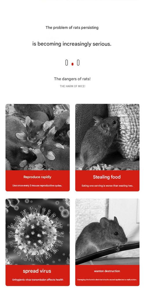 Super Strong Mouse Glue Board, Big Rats Killer, Suitable for Home, Warehouse and Supermarket, Mouse Trap & Rodent Control Board (25 Pieces Per Pack)