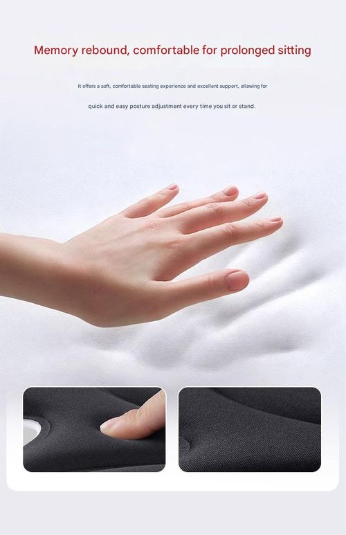 BKT Lumbar Support Seat Cushions Oversized Edition Ergonomic Office Chair for Students Office Workers Nursing Mothers Long Sitting Outdoor Fishing Floor Chair (L-Black)