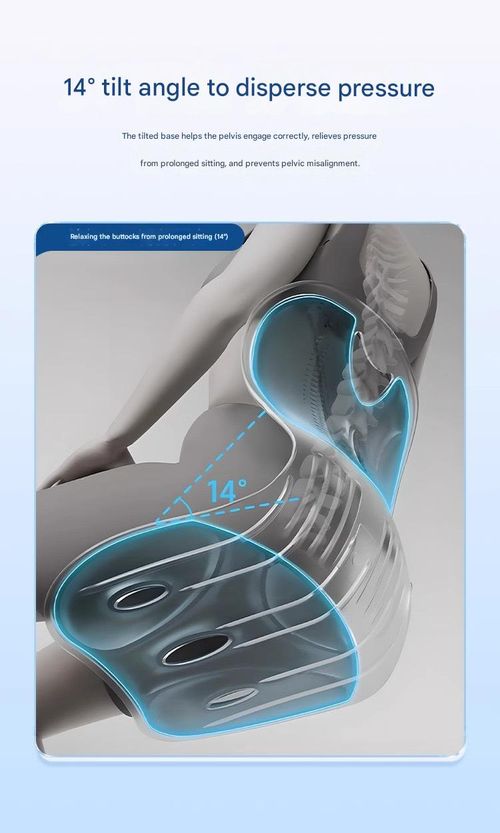 BKT Lumbar Support Seat Cushions Oversized Edition Ergonomic Office Chair for Students Office Workers Nursing Mothers Long Sitting Outdoor Fishing Floor Chair (L-Black)