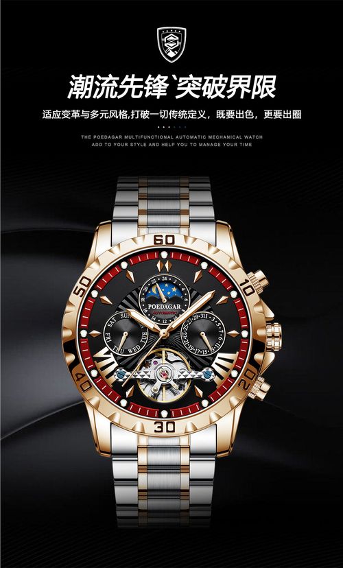 Collision of Classic and Mechanics! Men's Automatic Mechanical Watch