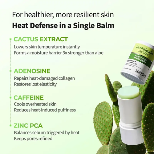 2-pack Multi Balm | Face & Body Stick for Pores, Chafing & Cooling Relief | Cactus Extract, Zinc PCA, Adenosine | Korean Skincare