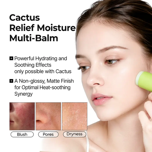 2-pack Multi Balm | Face & Body Stick for Pores, Chafing & Cooling Relief | Cactus Extract, Zinc PCA, Adenosine | Korean Skincare