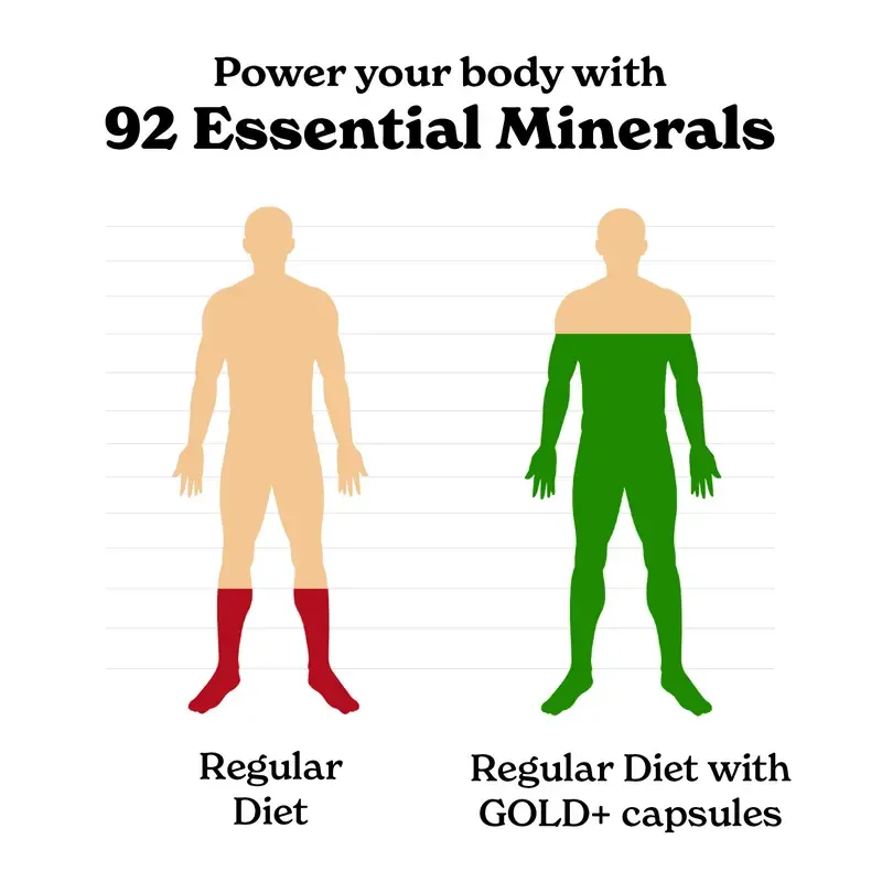 BetterAlt GOLD+ Gelatin, Indian Ginseng, and Algae Capsules | Boosts muscle strength | Helps increase energy and immunity | Quick recovery