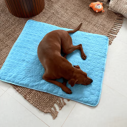 🔥🐾Dog Cooling Mat (4x more effective)