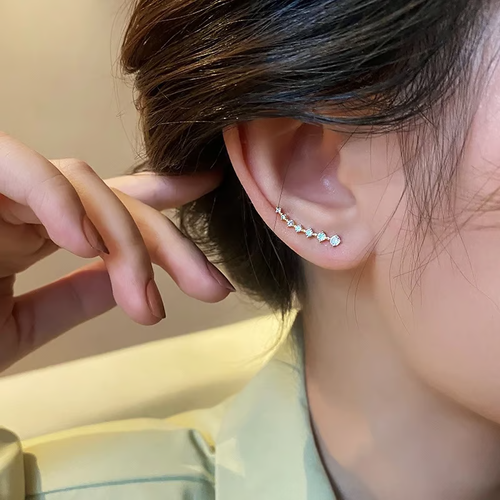👂925 seven-star diamond earrings