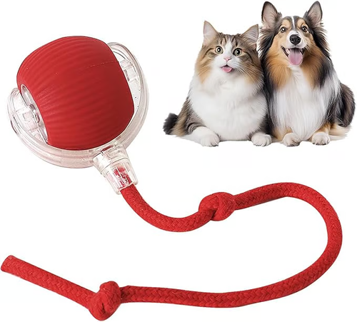 🔥RolliePet smart chase pet toy ball