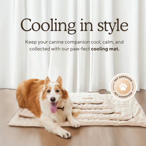 🔥🐾Dog Cooling Mat (4x more effective)