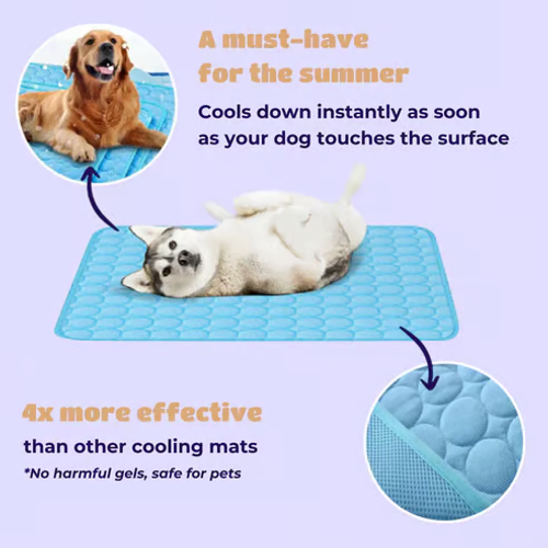 🔥🐾Dog Cooling Mat (4x more effective)
