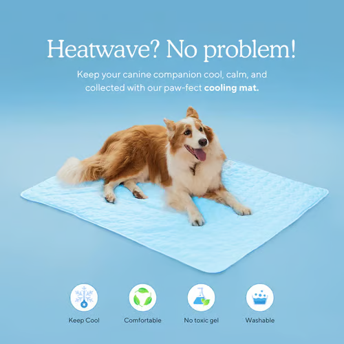 🔥🐾Dog Cooling Mat (4x more effective)