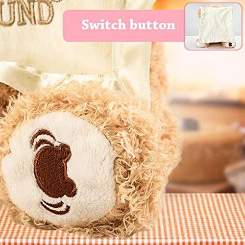 🎁Peek-a-Boo Bear 👀🐻