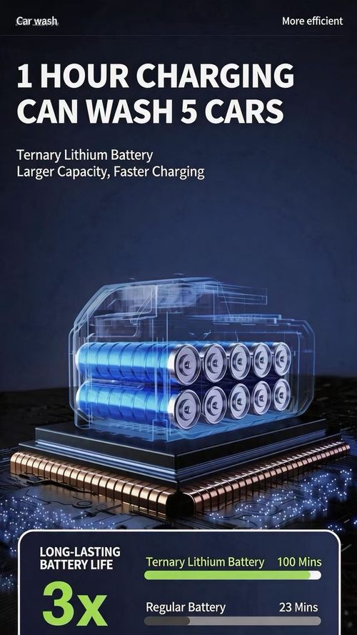 Electric Car Washer
