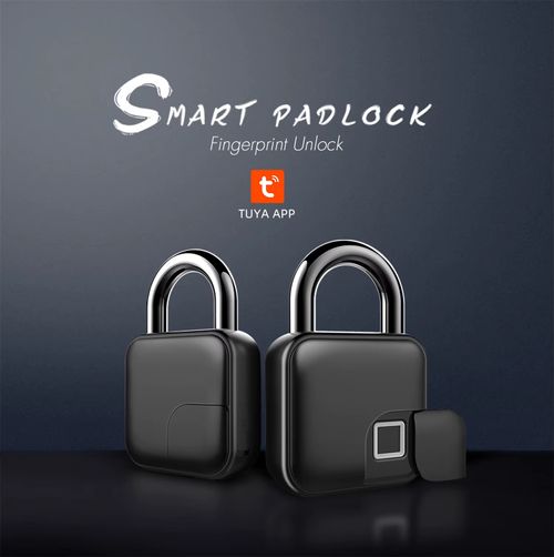 Zinc Alloy Smart Fingerprint Password Padlock Multi-scene Use
