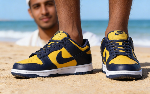 NIKE DUNK LOW MICHIGAN