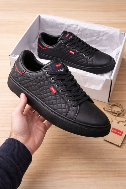 Lévis noir  Lévis gris